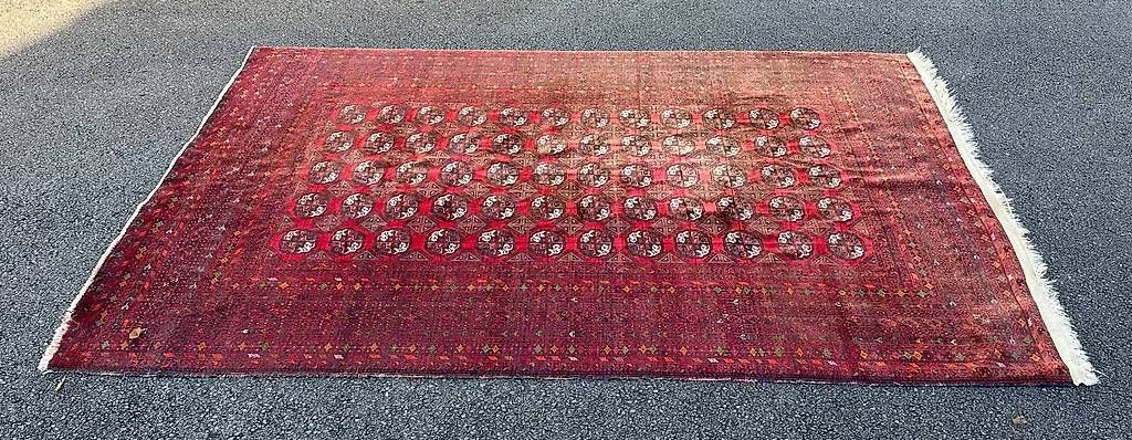 Teppiche: Teppich rot Afghanistan – Gebraucht aus Altdorf UR von anatol69 1