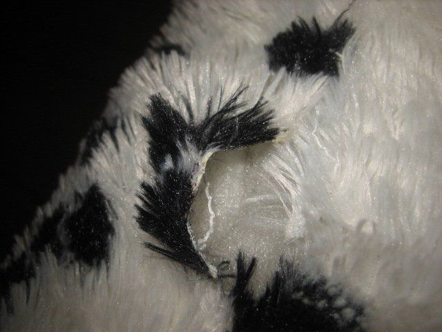 Spielzeuge: Kuscheltier Stofftier Hund Dalmatiner gross – Gebraucht aus Winterthur von pf02 5