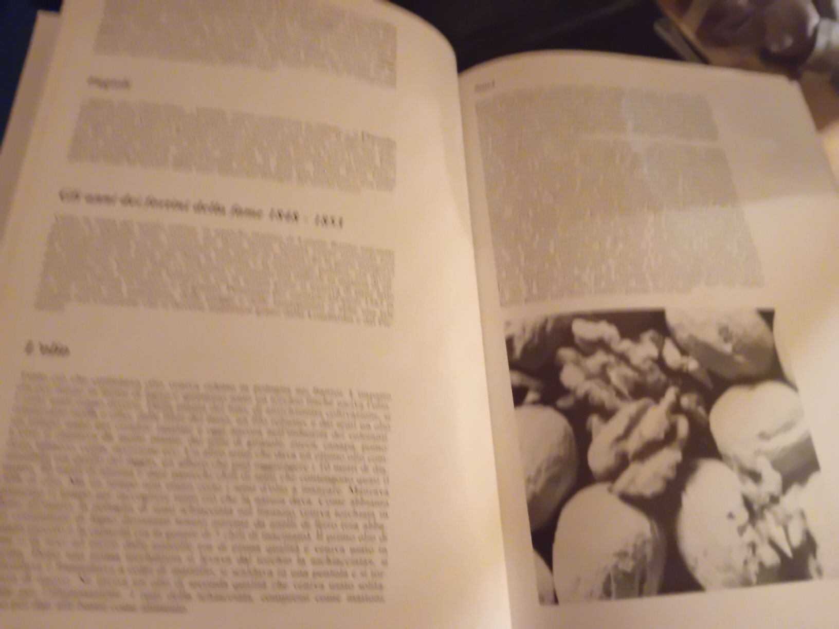 Bücher: Vecchi Mulini Del Ticino Ely Riva 1984  – Neu (gemäss Beschreibung) aus Biasca von Old_6blh 3