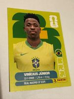 Panini Vinícius Júnior BRA 14