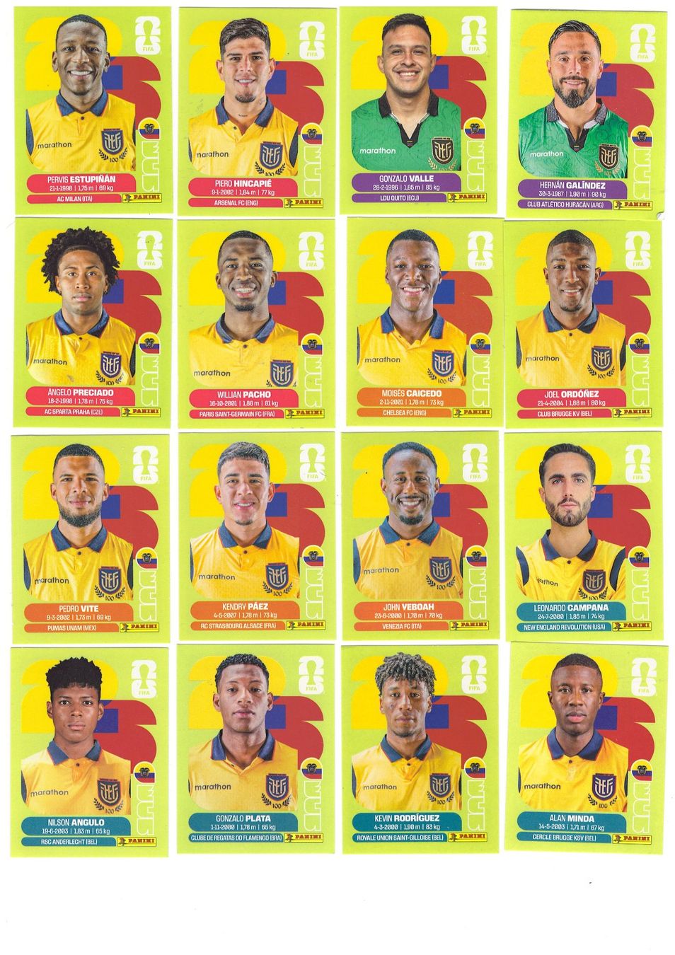 Panini Carte collezionabili: Panini WM 2026 (Ecuador) – Nuovo (secondo la descrizione) da Tegerfelden venduto da qualmbalgge