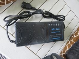 Ladegerät🤩E-Fast 60 Volt 20 Ah