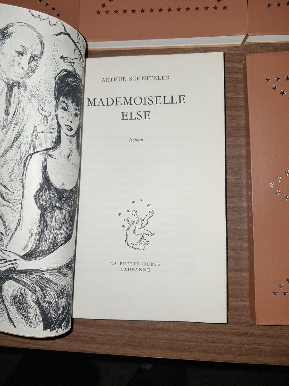 Bücher: Lot de 8 romans le guide du livre – Gebraucht aus Le locle von juliensaran 1