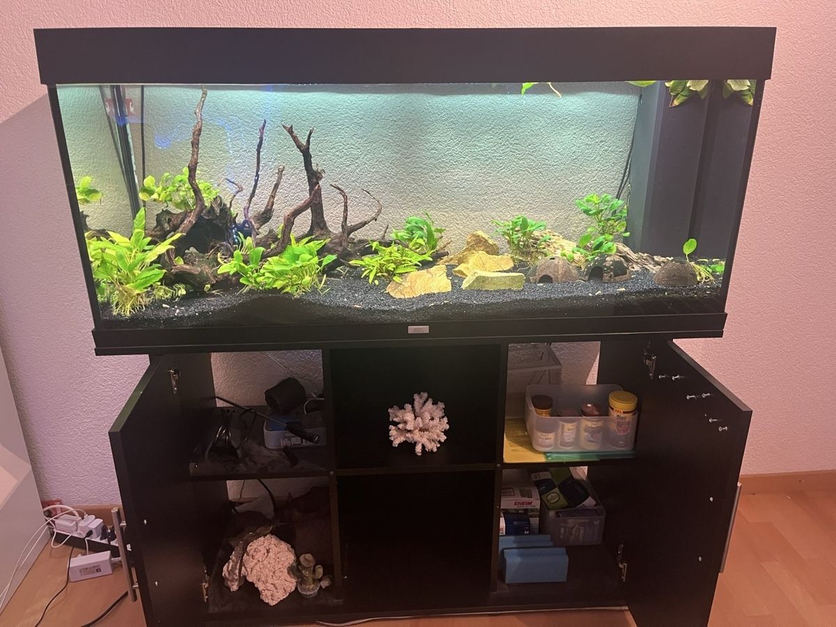 Juwel Acquari: Aquarium 240l, Top Zustand – Usato da Hurden venduto da Flori2803 1