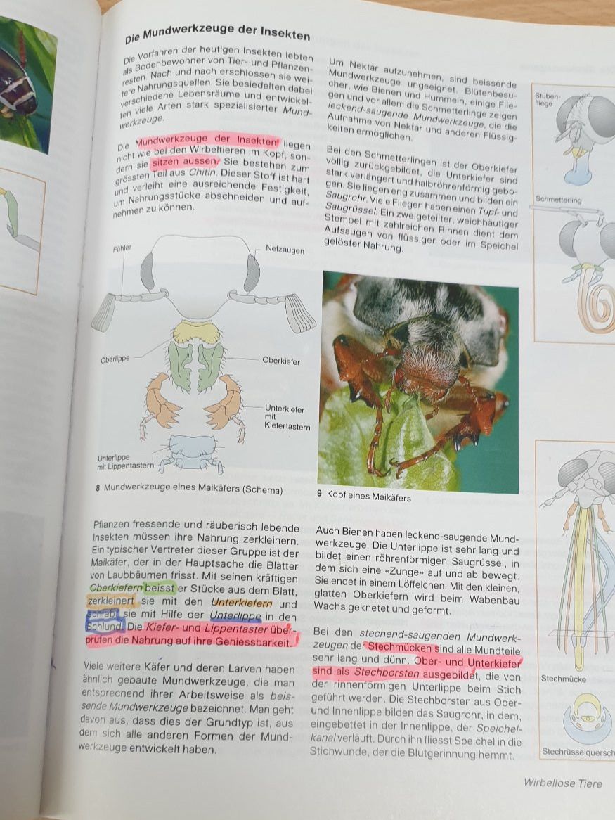 Libri: Natura - Biologie Buch – Usato da Volketswil venduto da jul_hwb8 1