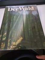 Der Wald von Felix R. Puttif - illustriertes Sachbuch