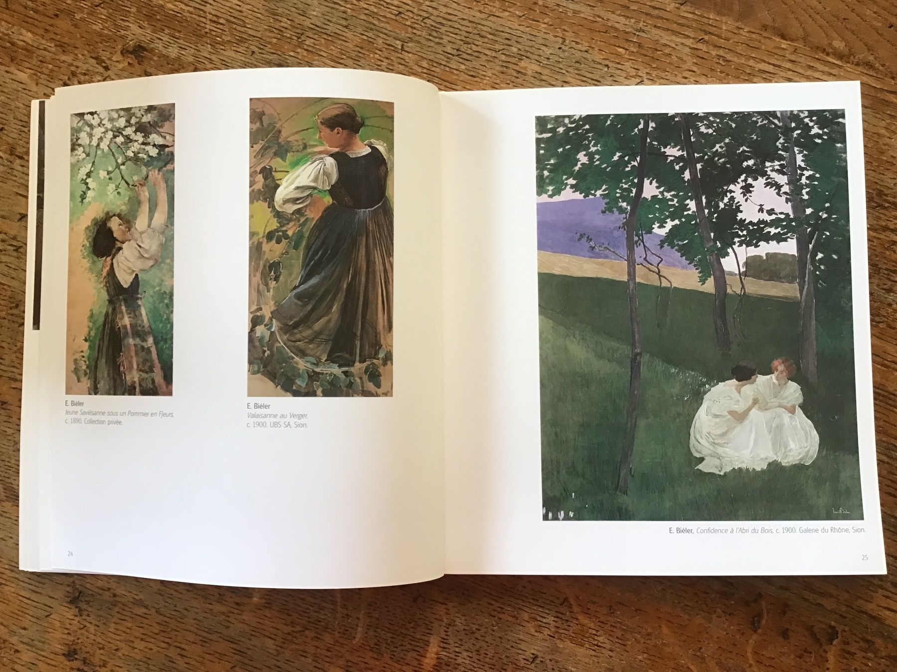 Bücher: Ernest Biéler – Gebraucht aus Fully von Ruby97 7
