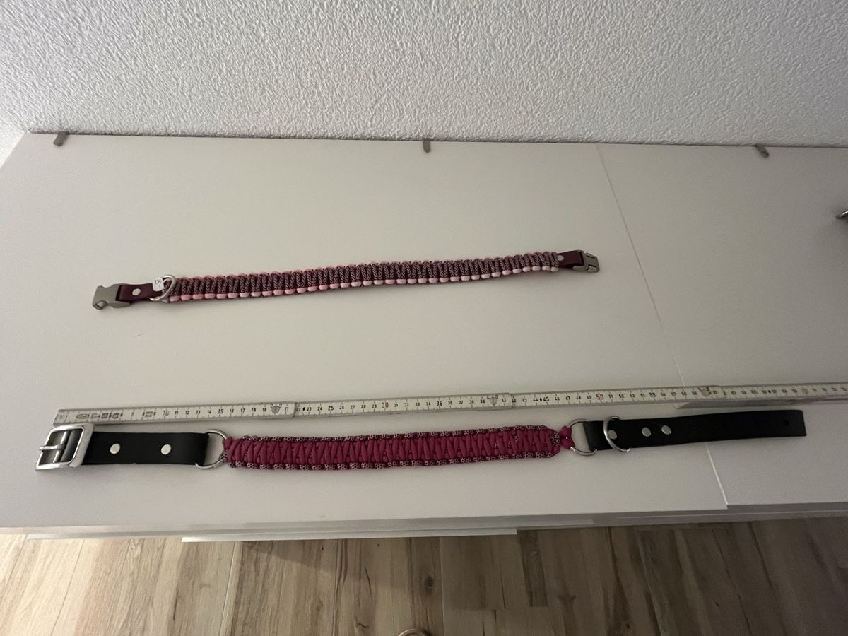 Guinzagli & Collari: Hundehalsband ca. 52-60cm – Nuovo (secondo la descrizione) da Oensingen venduto da Snoopy_w87 1