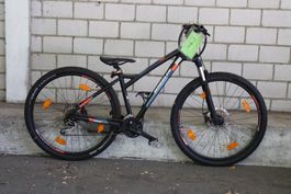 Velo 7