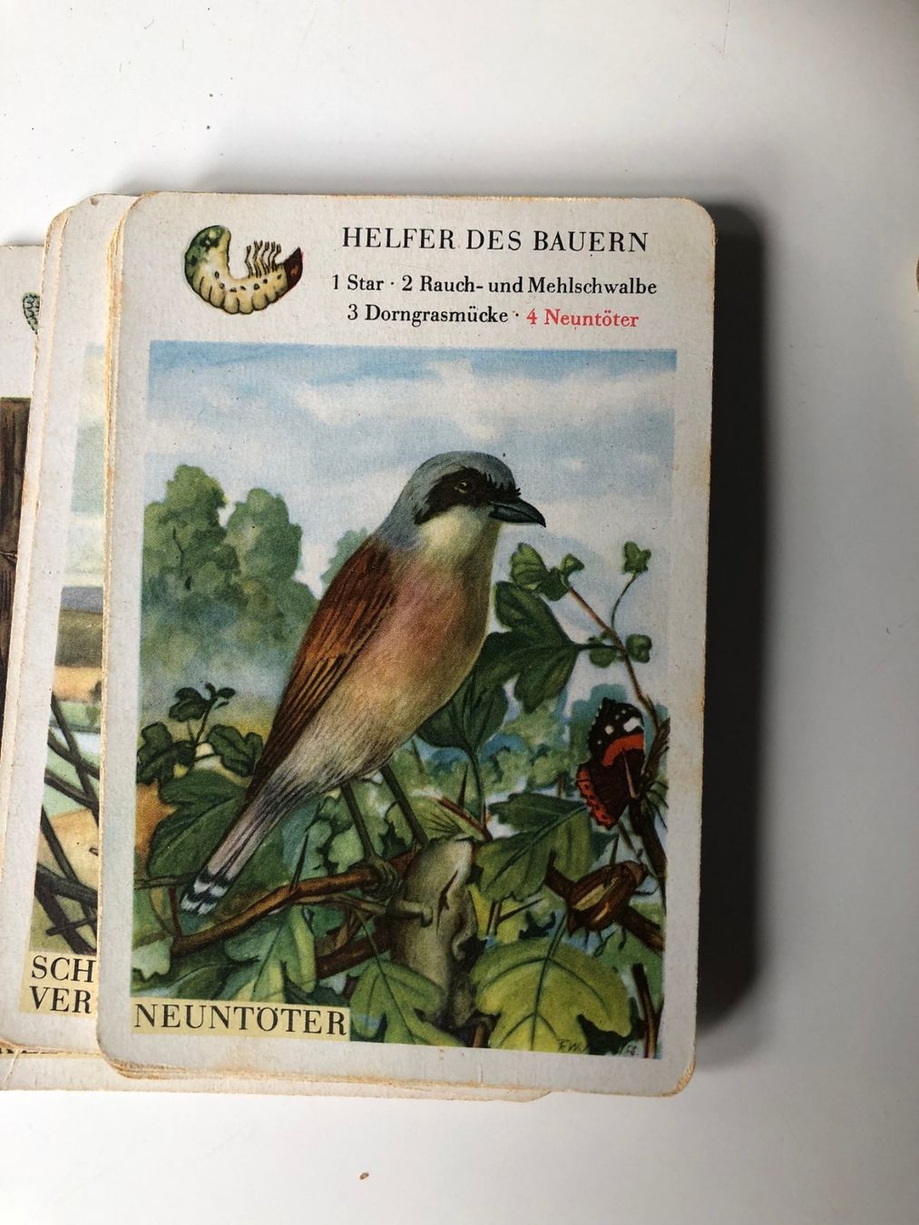 Giochi: 3 alte Lernquartette von Schwarzer Peter bis allerlei Unkrau – Usato da Mollis venduto da Hg 3