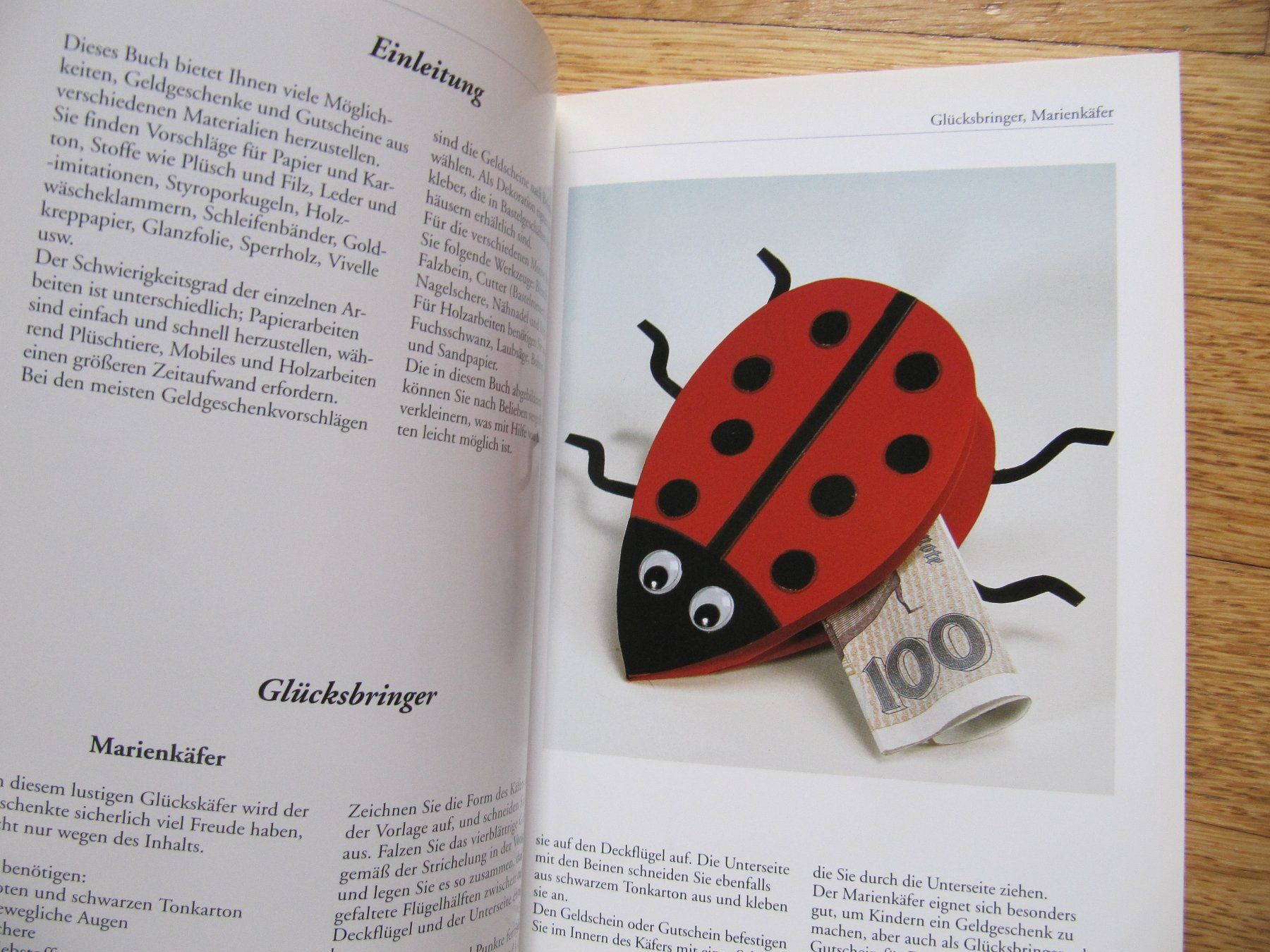 Libri: Geldgeschenke basteln / Rita Hopp - Hobby-Buch – Nuovo (secondo la descrizione) da Würenlos venduto da AustralisZ 3