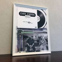 Dr. Dre Snoop Dogg Urban Pop Art Vinyl Rap Hip Hop Cali