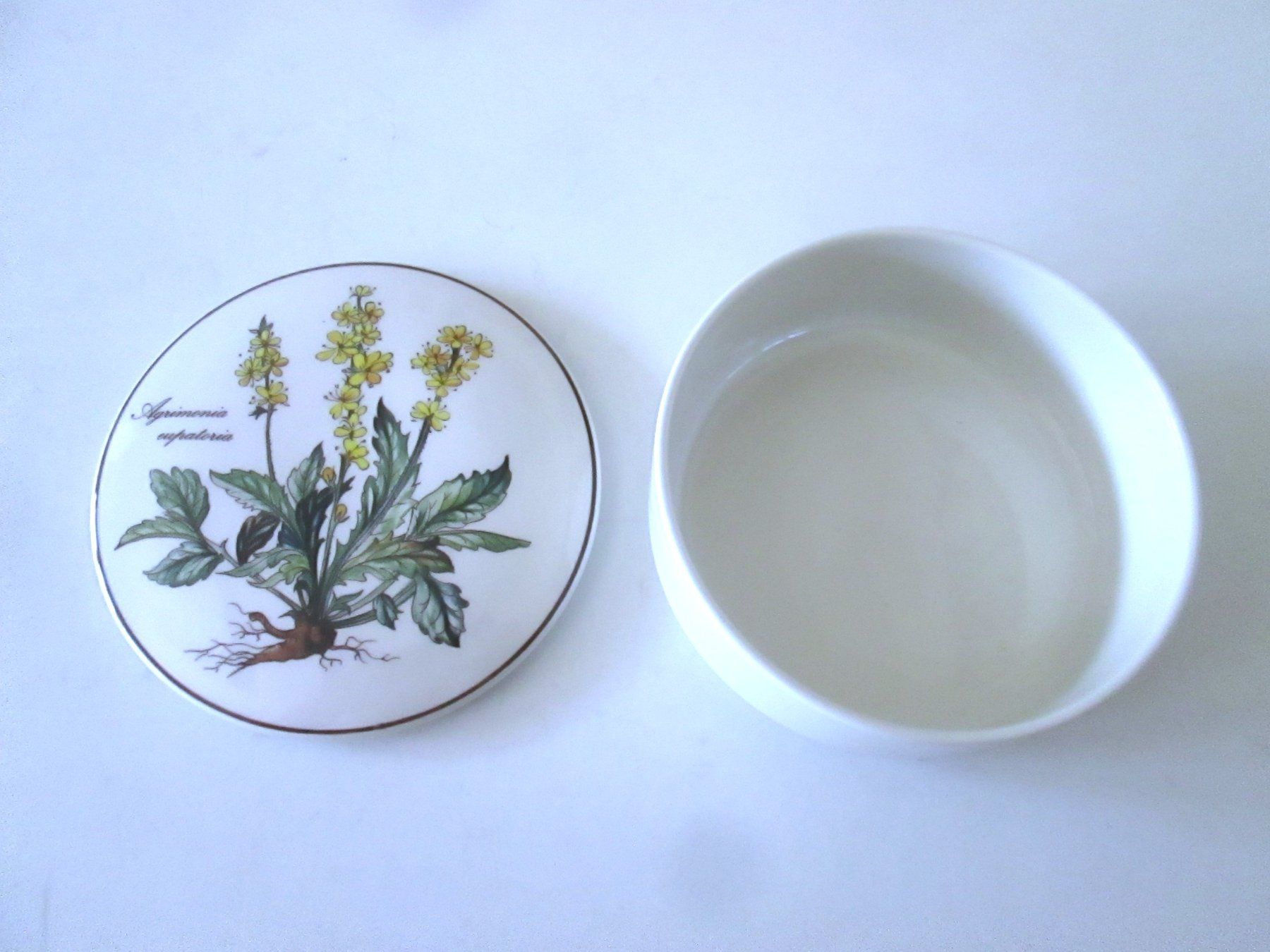 Villeroy & Boch Tutte le decorazioni: Dose Villeroy und Boch – Usato da Sementina venduto da babucia 1