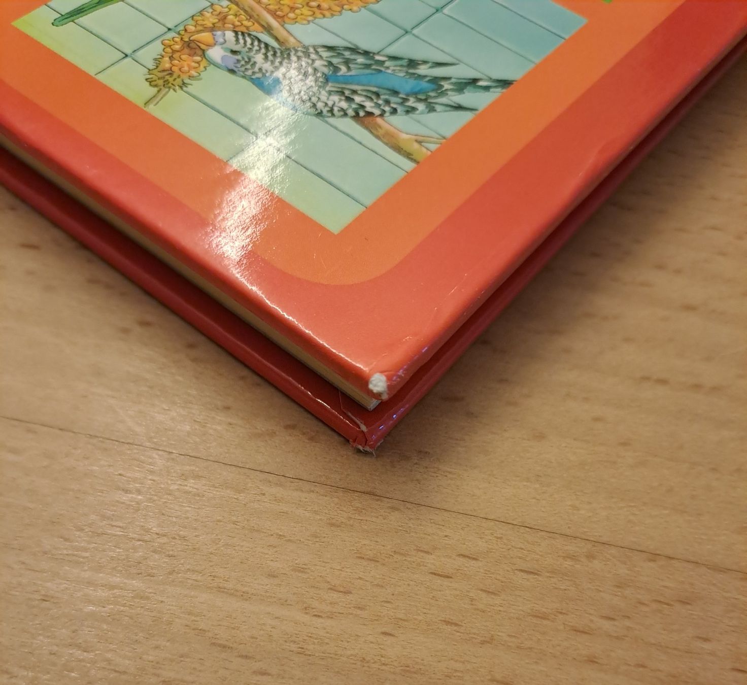 Libri: Haustiere Kinder Buch – Usato da Wädenswil venduto da neonfarbig 2