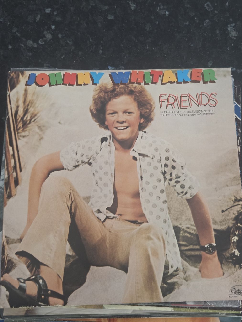 Dischi in vinile: Johnny Whitaker  – Usato da Müntschemier venduto da Fee_00