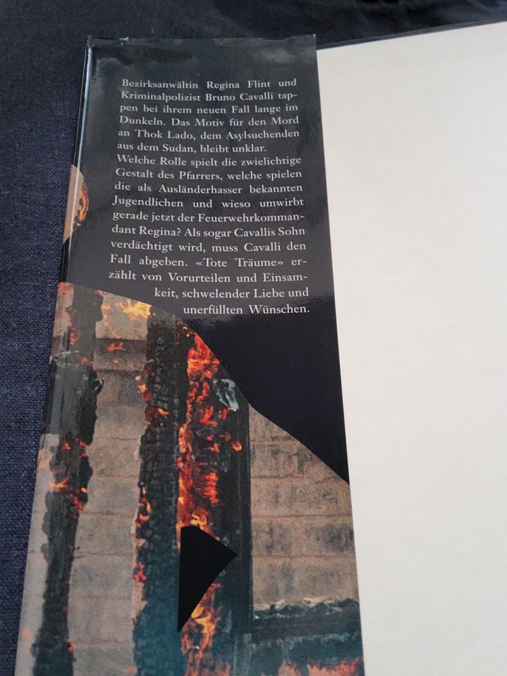 Libri: Petra Ivanov - Tote Träume Flint & Cavalli 2 – Usato da Neuhausen am Rheinfall venduto da Alchimista 2