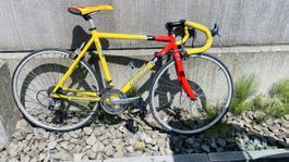 Argon 18 Rennrad - gelb/rot - Grösse S-M 🔥💪🏻🔥