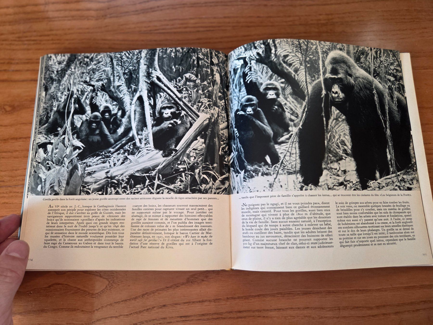 Libri: Parade animale du Continent noir 1963 VDB Berne – Usato da Aldesago venduto da lusuardi 8