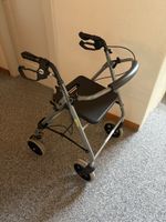 Gehhilfe Drive Gigo 2G mit Sitz und Korb guter Zustand