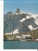St. Bernard ca. 1970