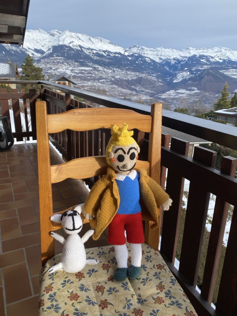 Fumetti: Tim und Struppi, handgestrickt – Nuovo (secondo la descrizione) da Effretikon venduto da marcelmaxime