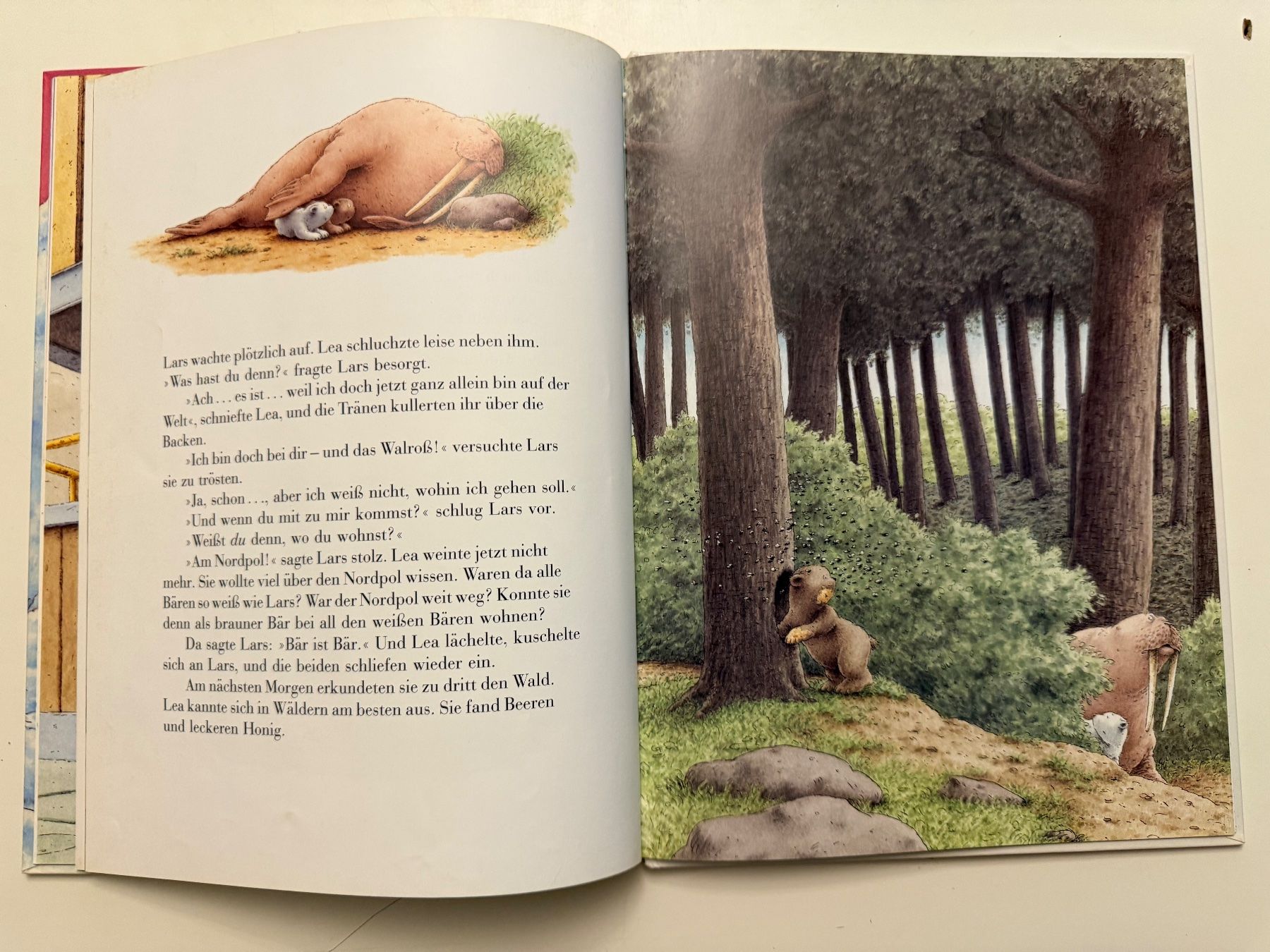 Libri: Kleiner Eisbär nimm mich mit! Hans de Beer – Usato da Münsingen venduto da Ganjam 6