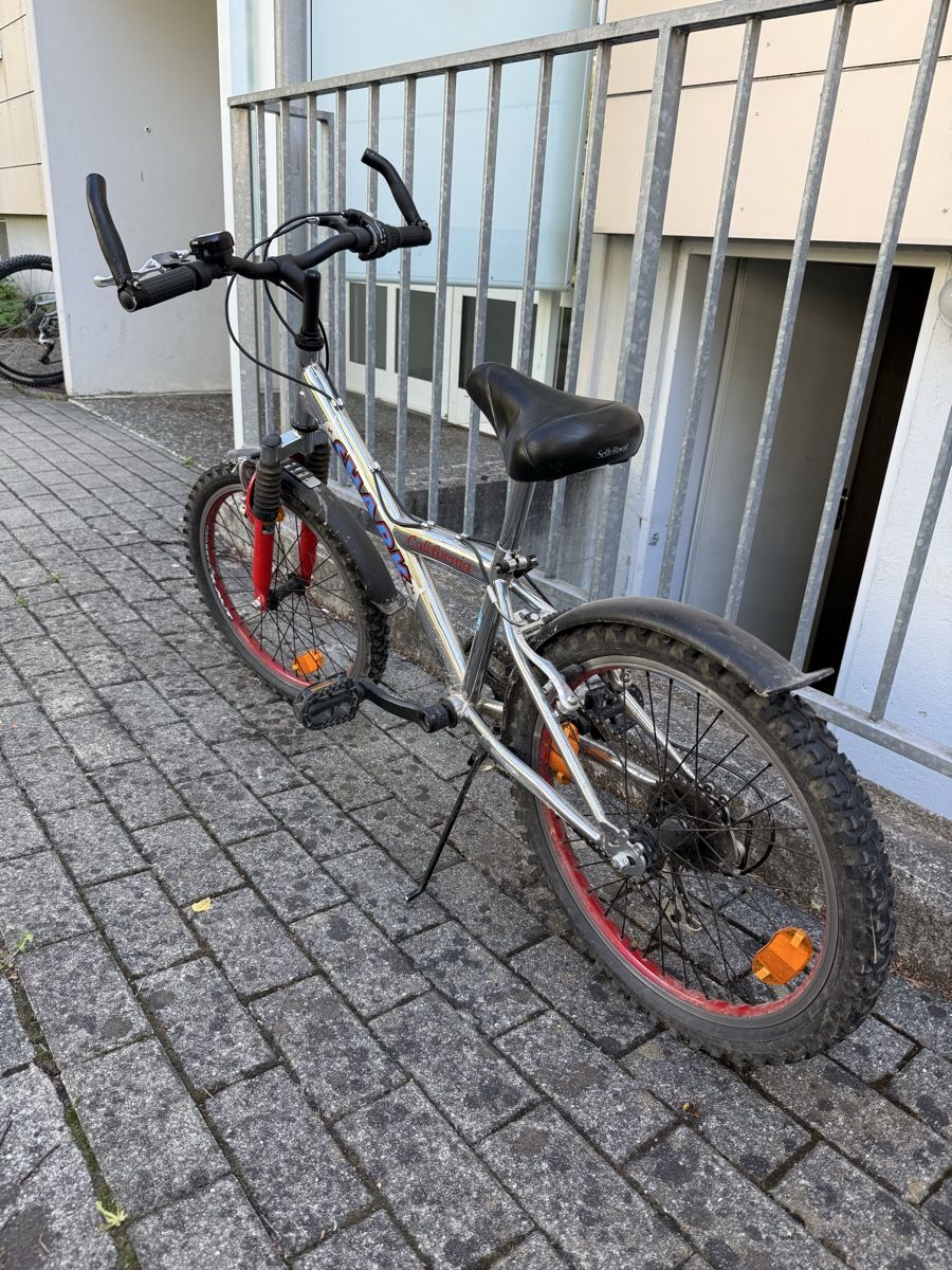 Biciclette: Kindervelo Shark silber rot – Usato da Uster venduto da HiestandReto 2