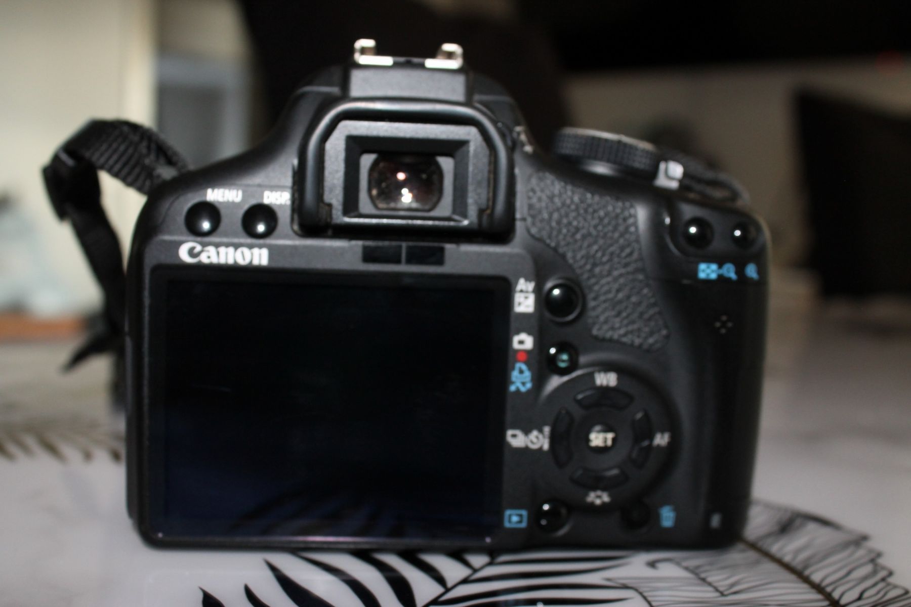 Canon Kamera: Canon 500D + Objektiv 18-55mm – Gebraucht aus Bellach von photo.zaccaro 1