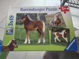 Ravensburger Puzzle 2x 49 Teile