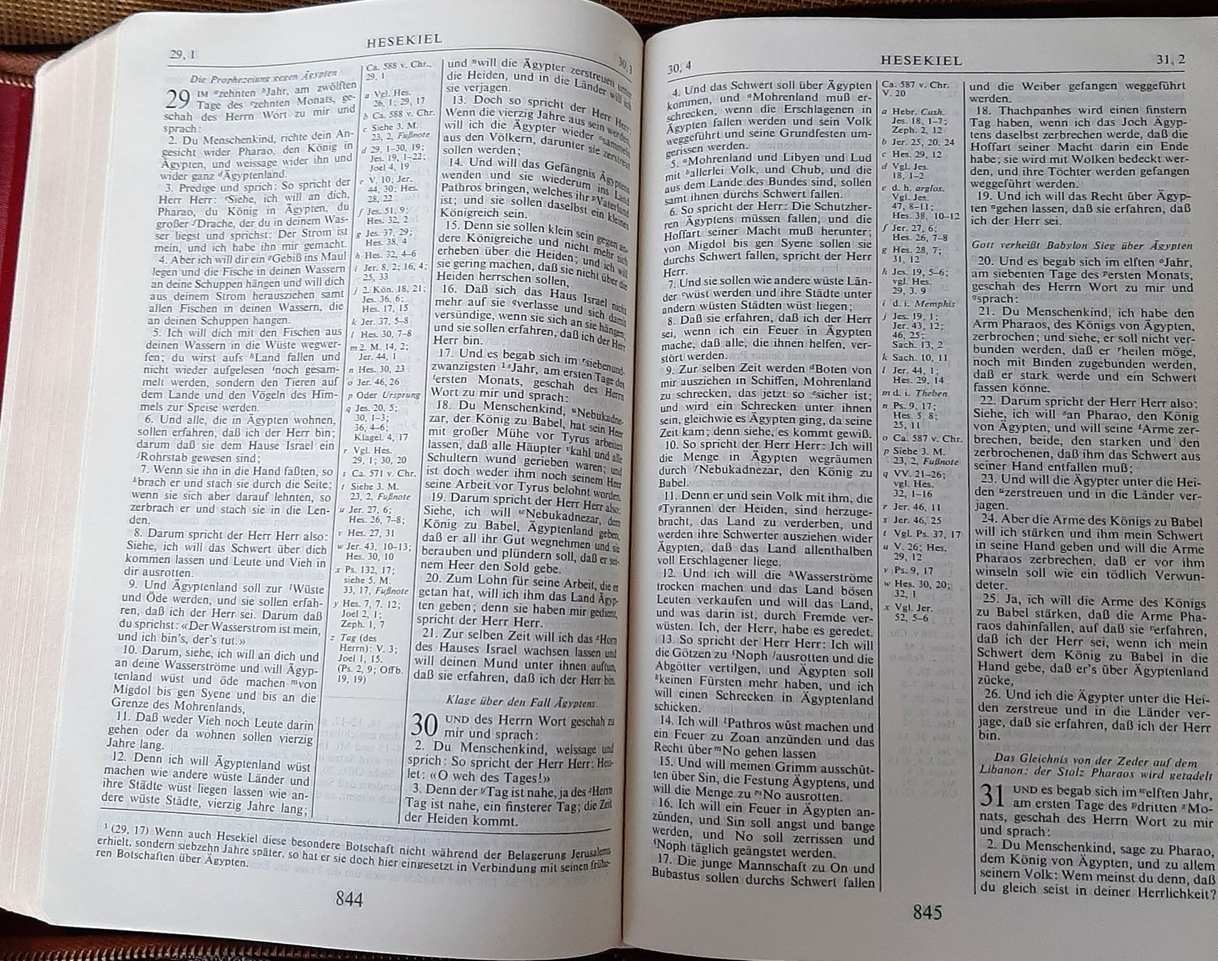 Libri: Bibel Scofield – Usato da Zürich venduto da Zurich 4
