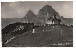 STOOS Kapelle und Mythen - Kühe