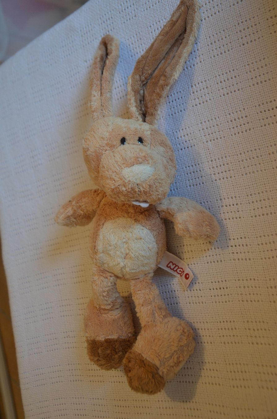 Nici Giocattoli: NICI - LAPIN - CM 24 – Usato da Chiasso venduto da Dolly015