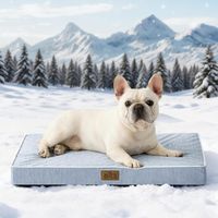 COZY KISS Kühlendes Hundebett 76 × 51 cm Hellblau