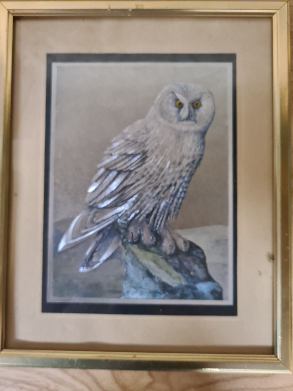 Posters & Illustrations: Eulenbild, Bild – D'occasion à Waldkirch par Hypertenuse