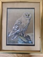 Eulenbild, Bild