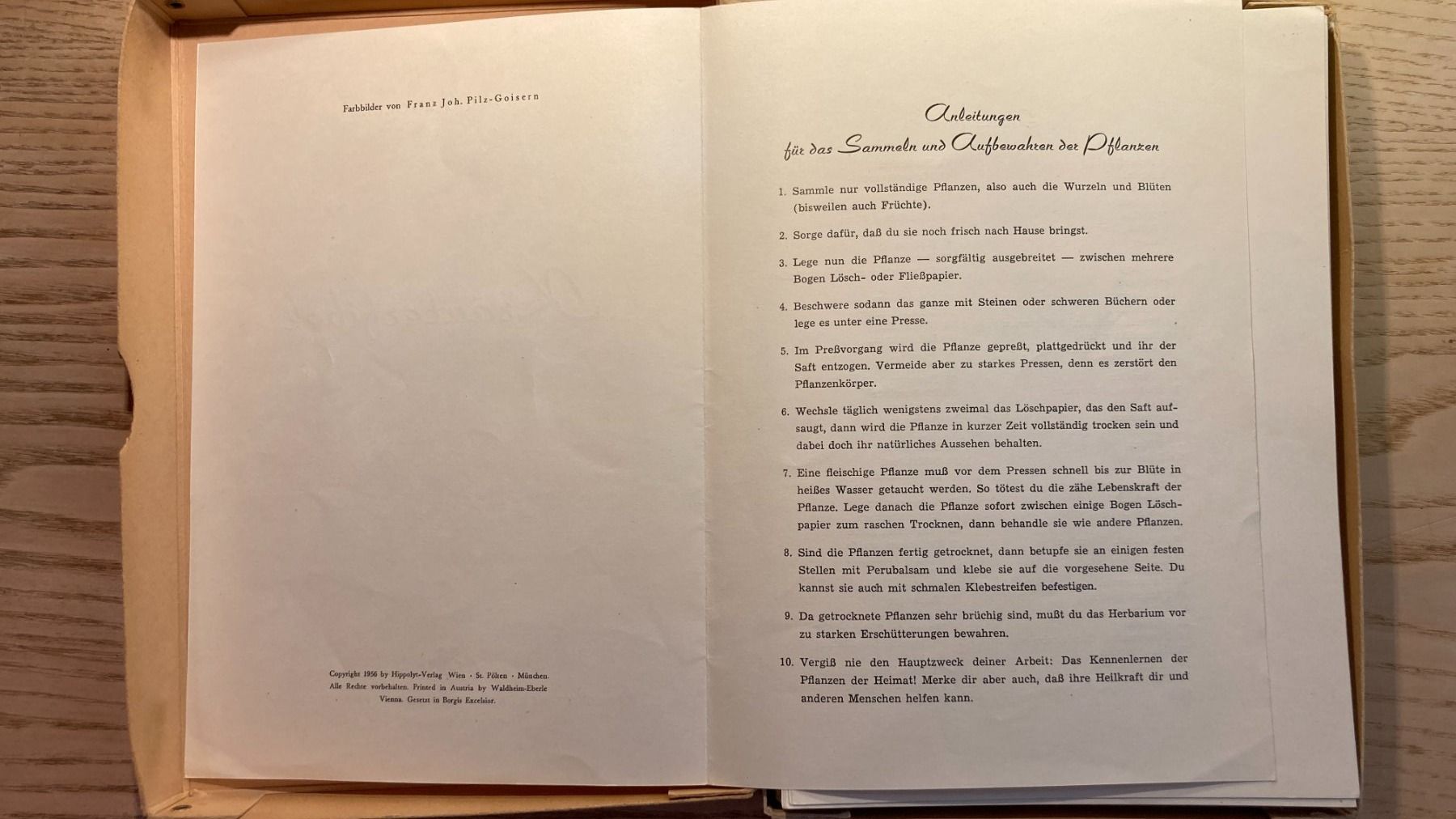 Livres: Heilkräuterfibel mit 80 Bildtafeln – D'occasion à Zwingen par Hugom 2