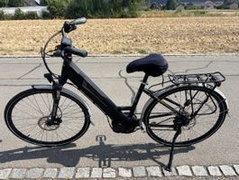 Elektrofahrrad 25 km/h