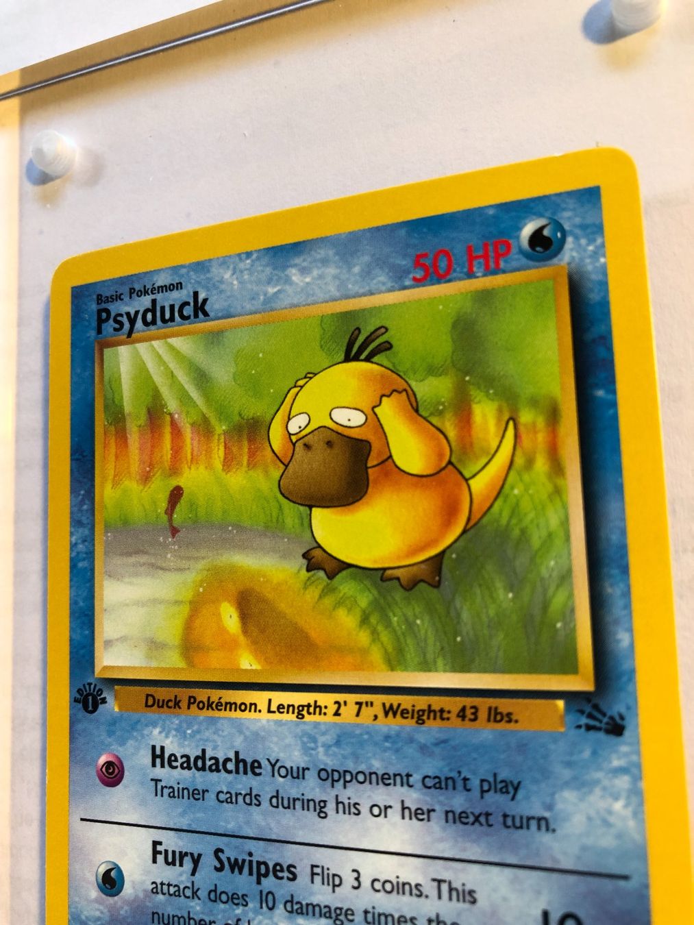 Sammelbilder & Trading cards: Psyduck 1st Fossil - MINT - ab 1.- – Gebraucht aus Giubiasco von dan_pr8b 3