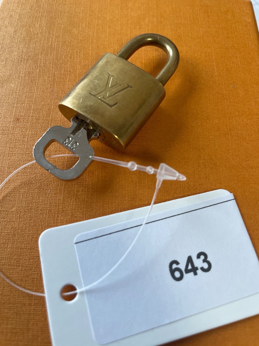 Louis Vuitton Cover & Protezioni schermo: Louis Vuitton Schloss - Nr. 643 – Usato da Hittnau venduto da LuxAndMore 1