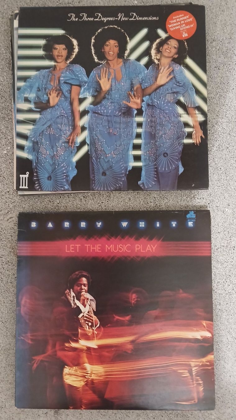 Dischi in vinile: 22 Schallplatten – Usato da Bünzen venduto da Corina-w 1