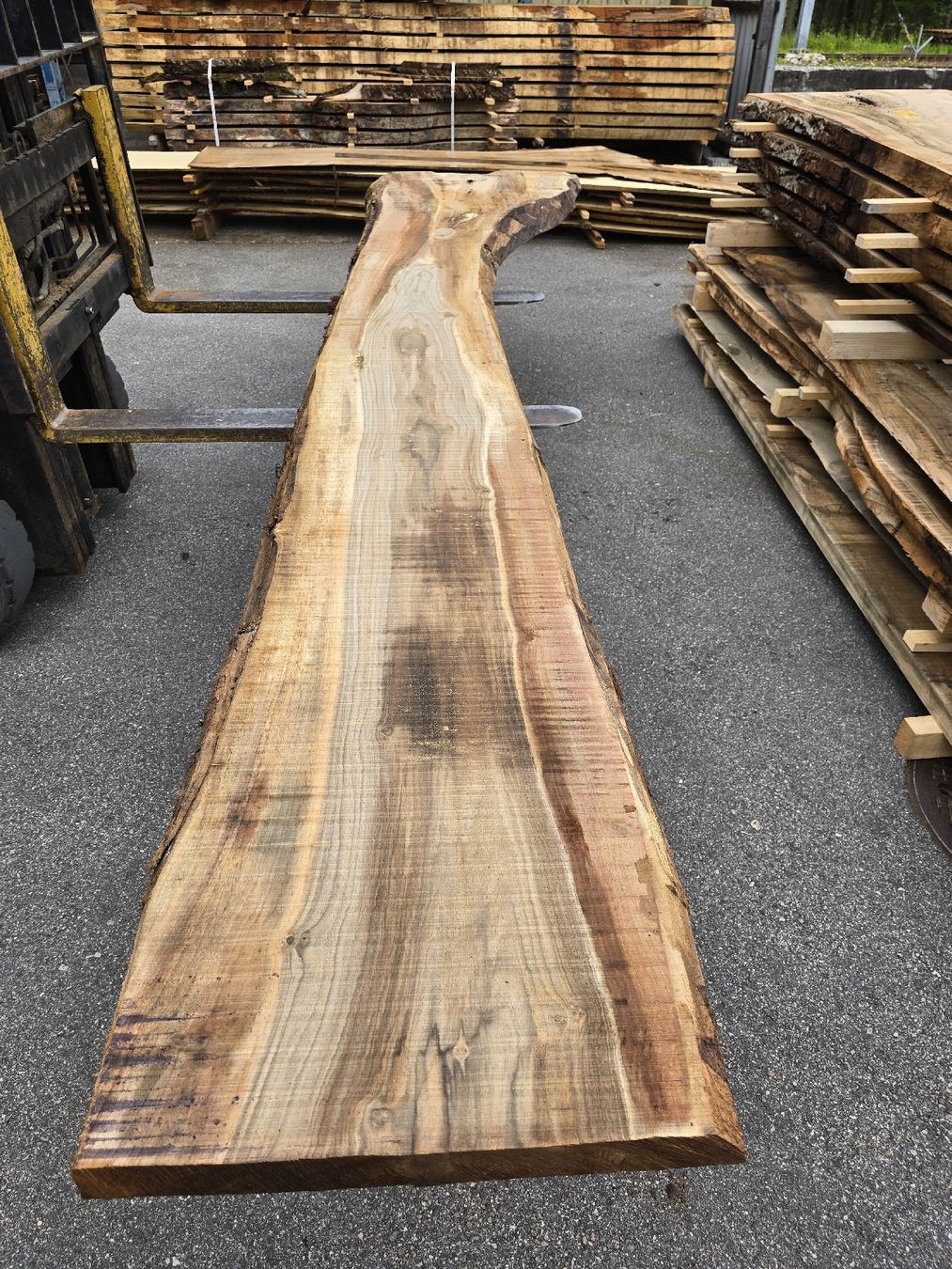 Articoli in legno: Nussbaumstamm – Nuovo (secondo la descrizione) da Ramsei venduto da Waelchris
