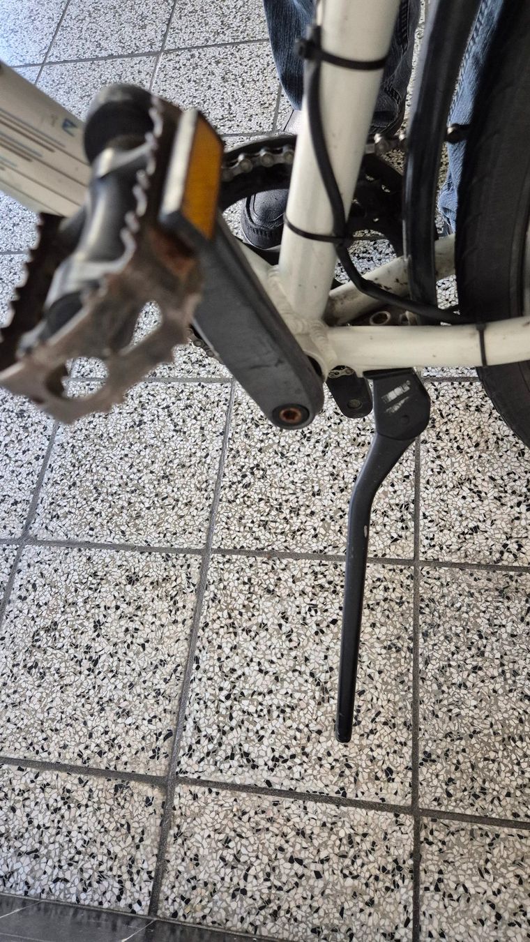 Winora Biciclette: Damenvelo / vélo dames – Usato da Basel venduto da Cellostoffeli 7
