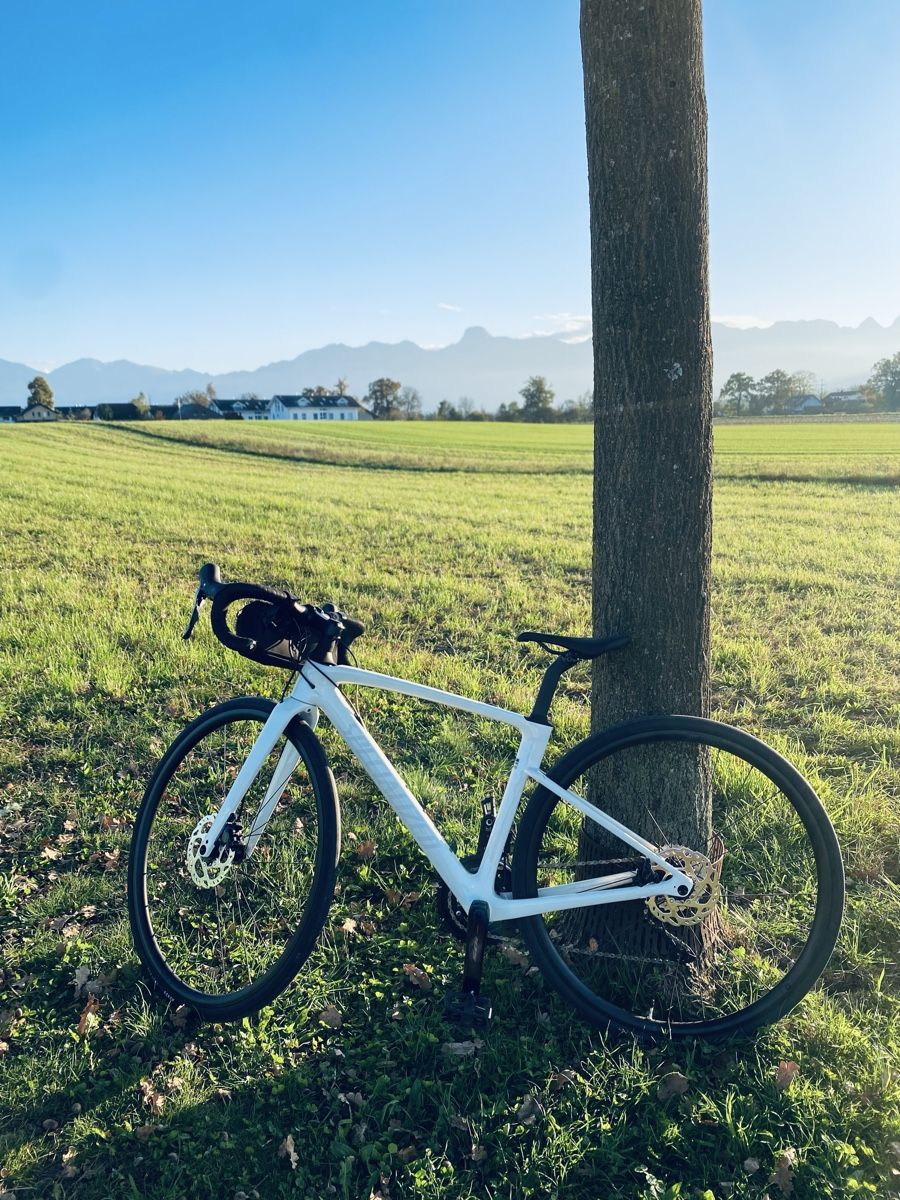 Specialized Biciclette: Rennvelo Specialized Roubaix Gr.49 – Nuovo (secondo la descrizione) da Thun venduto da Ricoxx