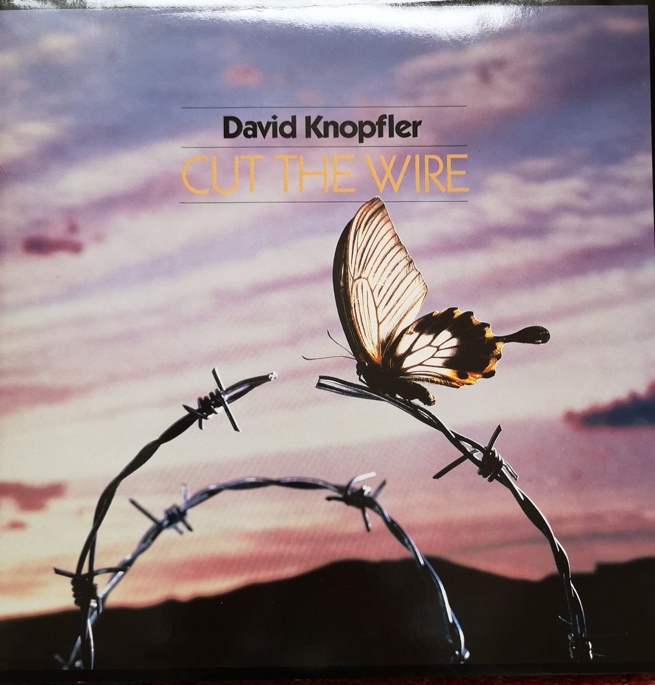 Dischi in vinile: 10 GEPFLEGTE ROCK/POP ALBEN – Usato da Muttenz venduto da Sellerboy02 3