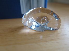 Swarovski SCS Pfau  Briefbeschwerer