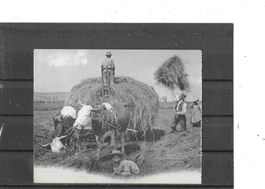 Fotokarte 1909 Landwirtschaft Beim Heuen