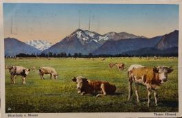 BLÜMLISALP u. Niesen - 1926