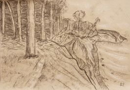 Kohlezeichnung: Wald