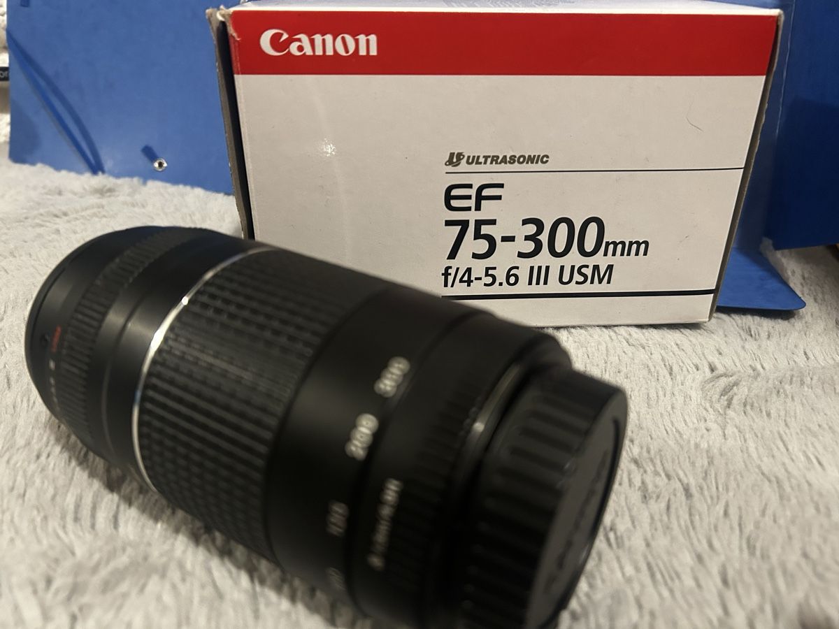 Canon Objectifs: Canon EF 75-300 mm USM Objektiv – D'occasion à Winterthur par SoarEagle