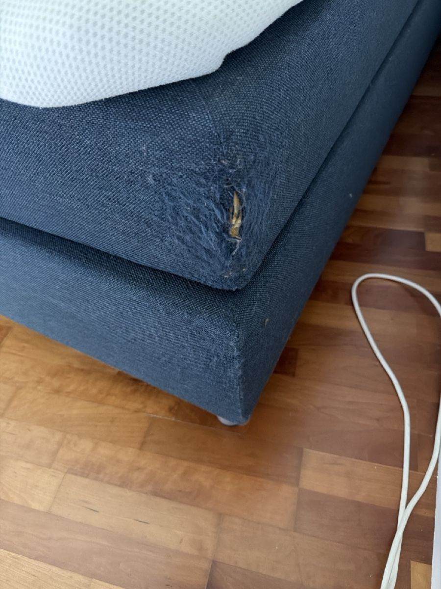 Micasa Letti: Boxspringbett dunkelblau 120 x 200 – Usato da Uster venduto da Clasi1 3